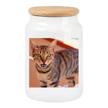 Cat Kitten Poster Square Cat Poster - Cookie Jar with Wooden Lid - white - Front
