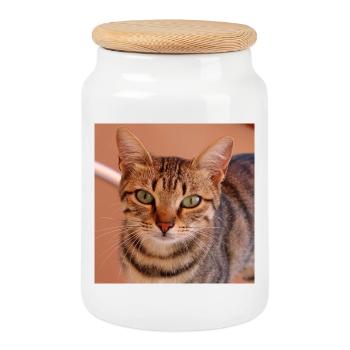 Cat Kitten Poster Square Cat Poster - Cookie Jar with Wooden Lid - white - Front