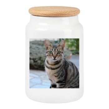 Cat Kitten Poster Square Cat Poster - Cookie Jar with Wooden Lid - white - Front