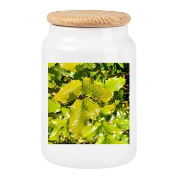 Mahonia / Warm autumn feeling - Cookie Jar with Wooden Lid - white - Front