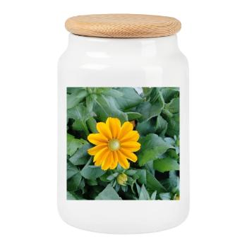 Rough coneflower / yellow ray flower - Cookie Jar with Wooden Lid - white - Front