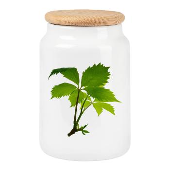 Junges Blattwerk – Grüner Blattzweig - Keksdose mit Holzdeckel - Weiß - Vorne