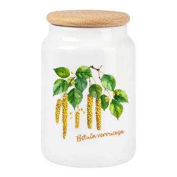 Betula verrucosa – Aquarell-Illustration - Keksdose mit Holzdeckel - Weiß - Vorne