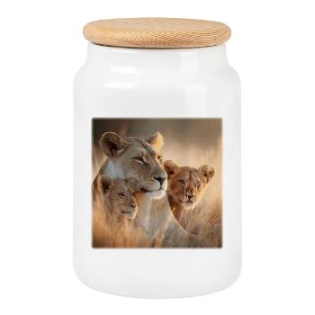Mère lion avec un petit – pure tendresse - Boîte à biscuits avec couvercle en bois - blanc - Devant