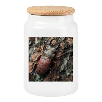 Noble cerf – Majestueux scarabée des bois de bois - Boîte à biscuits avec couvercle en bois - blanc - Devant