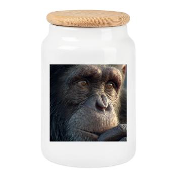 Portrait du chimpanzé – Focus réaliste du singe - Boîte à biscuits avec couvercle en bois - blanc - Devant
