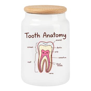 Dentiste assistant dentaire en anatomie dentaire - Boîte à biscuits avec couvercle en bois - blanc - Devant