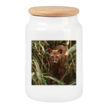 Fossa rare – Chasse silencieuse dans la forêt tropicale - Boîte à biscuits avec couvercle en bois - blanc - Devant