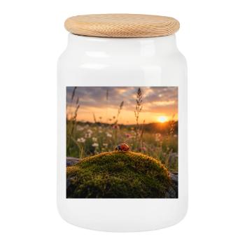 Coccinelle au coucher de soleil et à la mousse - Boîte à biscuits avec couvercle en bois - blanc - Devant