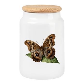 Caligo eurilochus — Naturalistischer Eulenschmetterling - Keksdose mit Holzdeckel - Weiß - Vorne