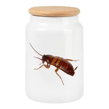 Cockroach insect cockroach cockroach - Cookie Jar with Wooden Lid - white - Front