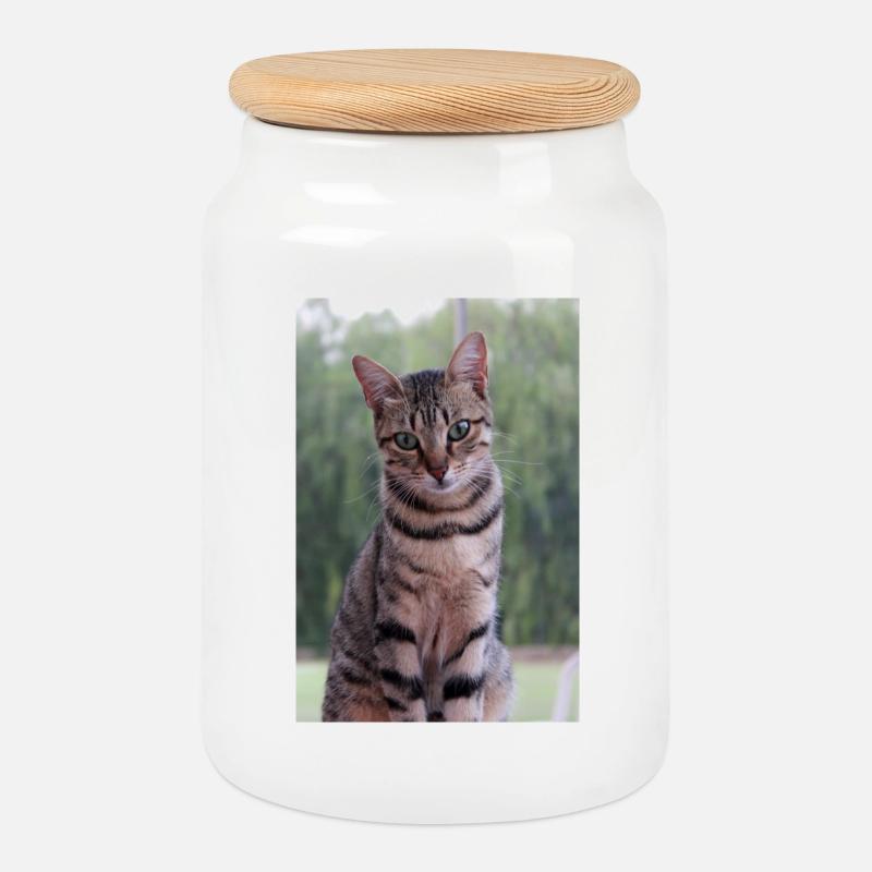 Katze Kätzchen - Keksdose mit Holzdeckel - Weiß