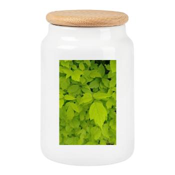 Érable frêne / Acer negundo - Boîte à biscuits avec couvercle en bois - blanc - Devant