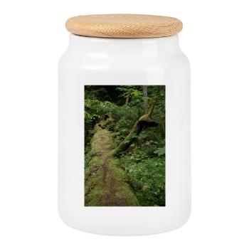 Vermooster Baumstamm / Nordschwarzwald Monbachtal - Keksdose mit Holzdeckel - Weiß - Vorne