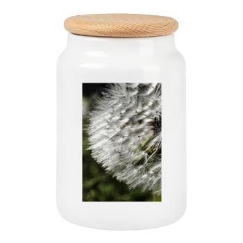 Dandelion Dandelion Closeup Nature Photography - Cookie Jar with Wooden Lid - white - Front