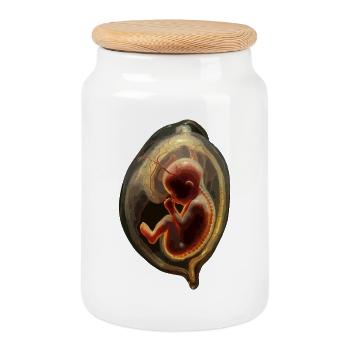 Embryo-Silhouette in der Gebärmutter - Keksdose mit Holzdeckel - Weiß - Vorne