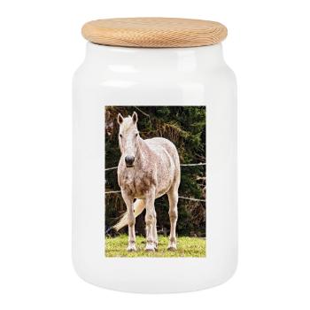 Apfelschimmel Pferd Porträt Poster - Keksdose mit Holzdeckel - Weiß - Vorne