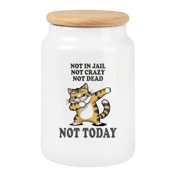 Pas aujourd’hui : Drôle de sarcasme de chat - Boîte à biscuits avec couvercle en bois - blanc - Devant