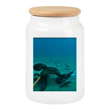 Unterwasser Kraken Rochen - Keksdose mit Holzdeckel - Weiß - Vorne