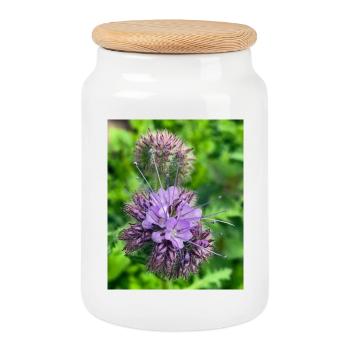 Phacélie violette – Fleur sauvage botanique - Boîte à biscuits avec couvercle en bois - blanc - Devant