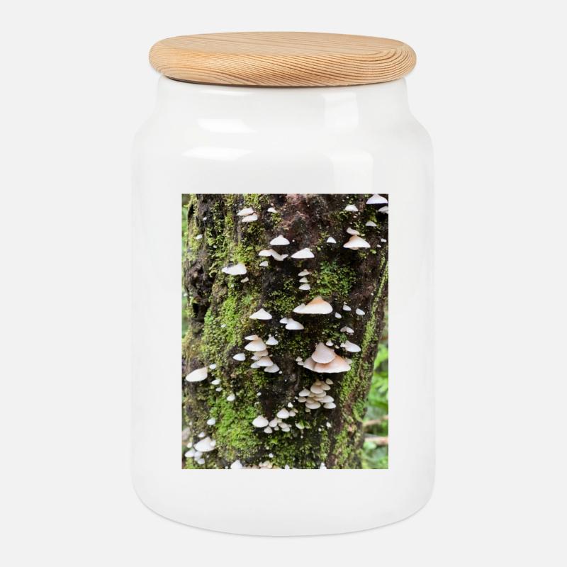 Moosbewachsene Pilzkolonie am Baum - Keksdose mit Holzdeckel - Weiß