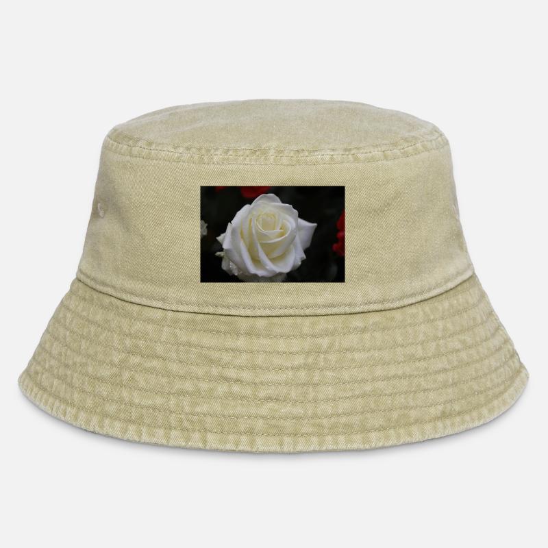 rose blanche - Bob vintage - beige vintage