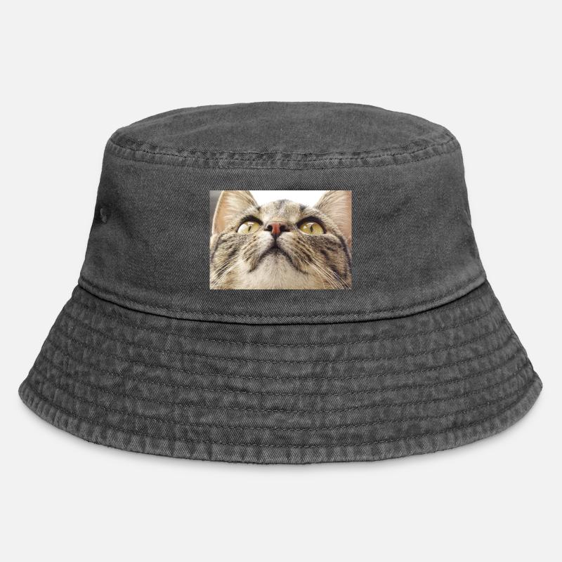 Visage de chat Minka - Bob vintage - noir vintage