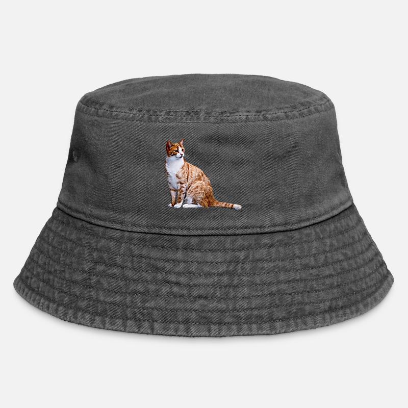 Chat Chat Chat Cat Cats Amour de chat - Bob vintage - noir vintage