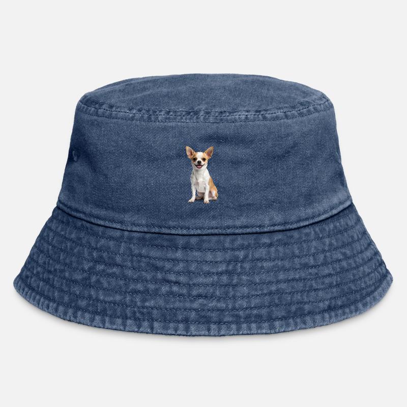 Chihuahua mignon – Petit, effronté et plein de cœur ! - Bob vintage - vintage bleu jeans
