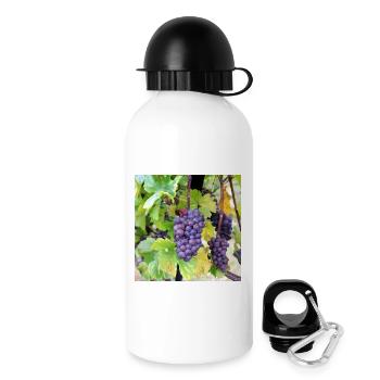 Wein Weintrauben Weinrebe Weinlese Weinfest Poster - Trinkflasche mit Deckel 500 ml - Weiß - Rechts