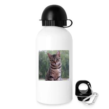 Katze Kätzchen Poster quadratisch Katzenposter - Trinkflasche mit Deckel 500 ml - Weiß - Rechts