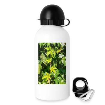 Vin sauvage jeune - Gourde avec bouchon 500 ml - blanc - Droite
