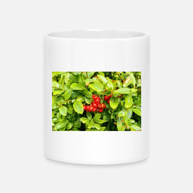 Mediterranean Firethorn / Pyracantha coccinea - Mug with Heart-Shaped Handle - white