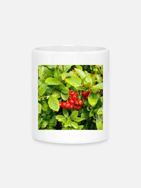 Épine de feu méditerranéenne / Pyracantha coccinea - Mug avec anse en forme de cœur - blanc