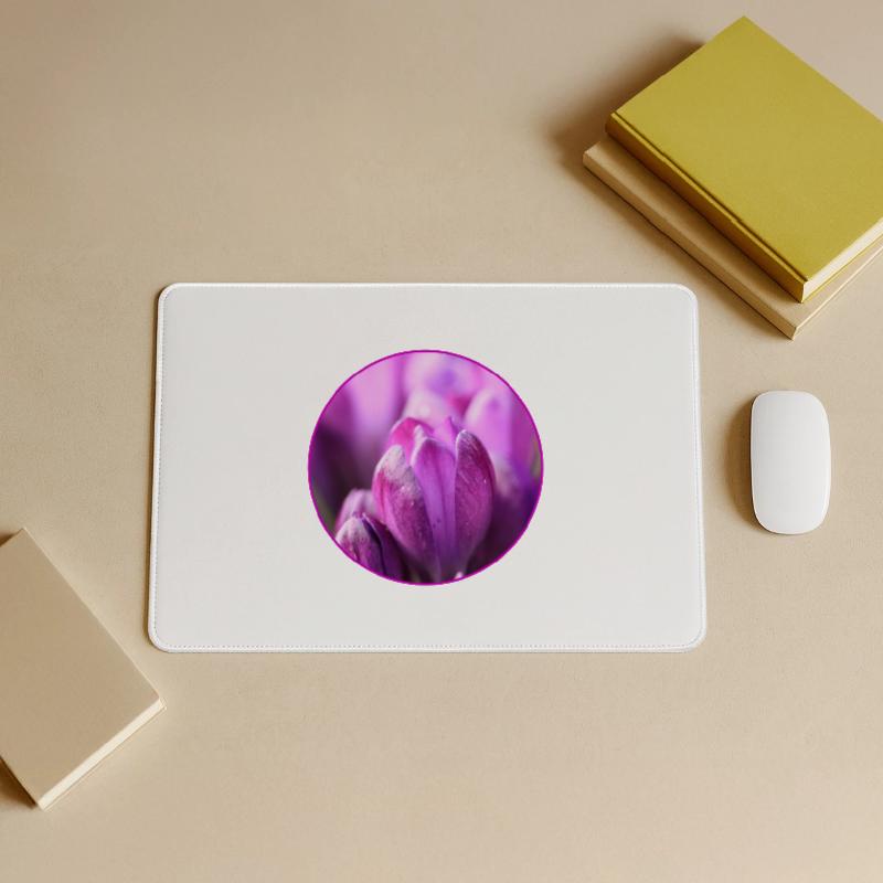 Crocus Crocus Fleurs violettes Crocus Bourgeon de crocus Grand tapis de souris gamer