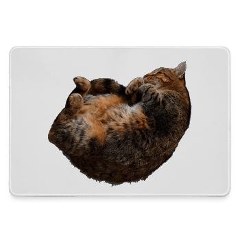 entspannte Katze, tabby motive - Mousepad groß für Gamer - Grau - Vorne