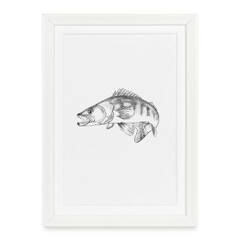 pike-perch - Affiche encadrée (27 × 37 cm) - blanc - Devant