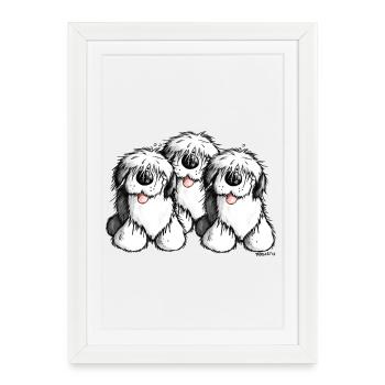 Bobtail chien- Old English Sheepdog - dessin animé - Affiche encadrée (27 × 37 cm) - blanc - Devant