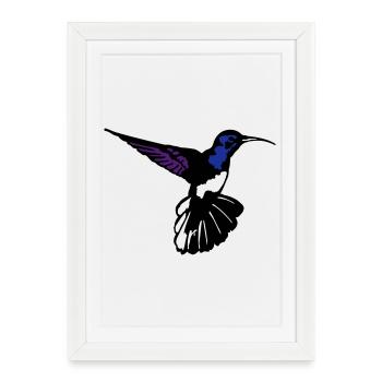 colibri - Affiche encadrée (27 × 37 cm) - blanc - Devant