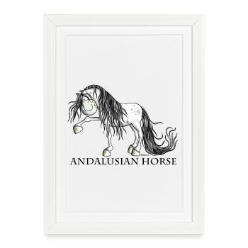 Andalusian Horse - Affiche encadrée (27 × 37 cm) - blanc - Devant