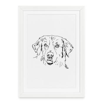 Golden Retrievers - Affiche encadrée (27 × 37 cm) - blanc - Devant