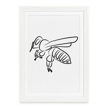 Abeille - Affiche encadrée (27 × 37 cm) - blanc - Devant