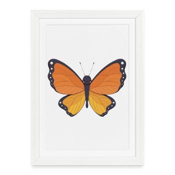 Papillon - Affiche encadrée (27 × 37 cm) - blanc - Devant