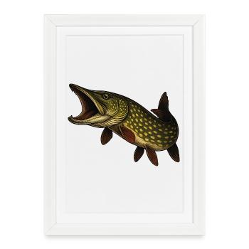 Dynamic Pike Fish Motif - Framed poster (27 × 37 cm) - white - Front
