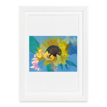 Multi-exposition tournesol - Affiche encadrée (27 × 37 cm) - blanc - Devant