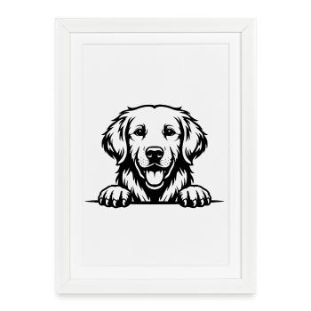 Golden Retriever avec des pattes - Affiche encadrée (27 × 37 cm) - blanc - Devant