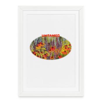 Indompté - Prairie vibrante d’échinacées sauvages - Affiche encadrée (27 × 37 cm) - blanc - Devant