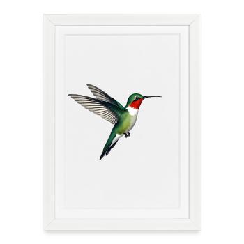 Hummingbird - Framed poster (27 × 37 cm) - white - Front