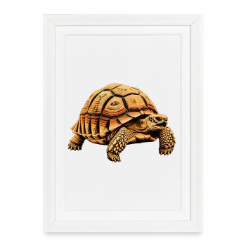 Grande tortue, motif détaillé - Affiche encadrée (27 × 37 cm) - blanc - Devant