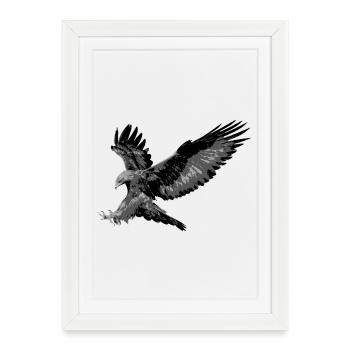 Aigle - Affiche encadrée (27 × 37 cm) - blanc - Devant